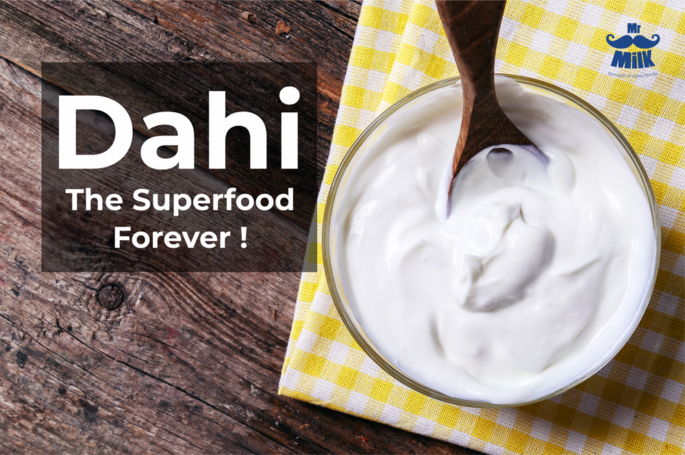 Dahi The Superfood Forever! Benefits of dahi Mr.Milk