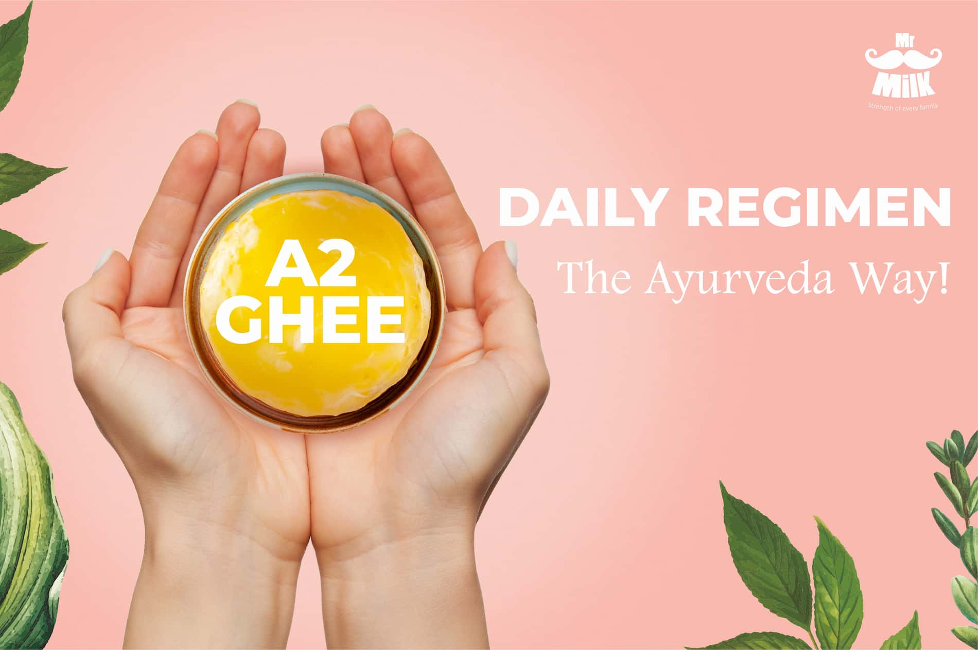 Daily Regimen – The Ayurveda Way!