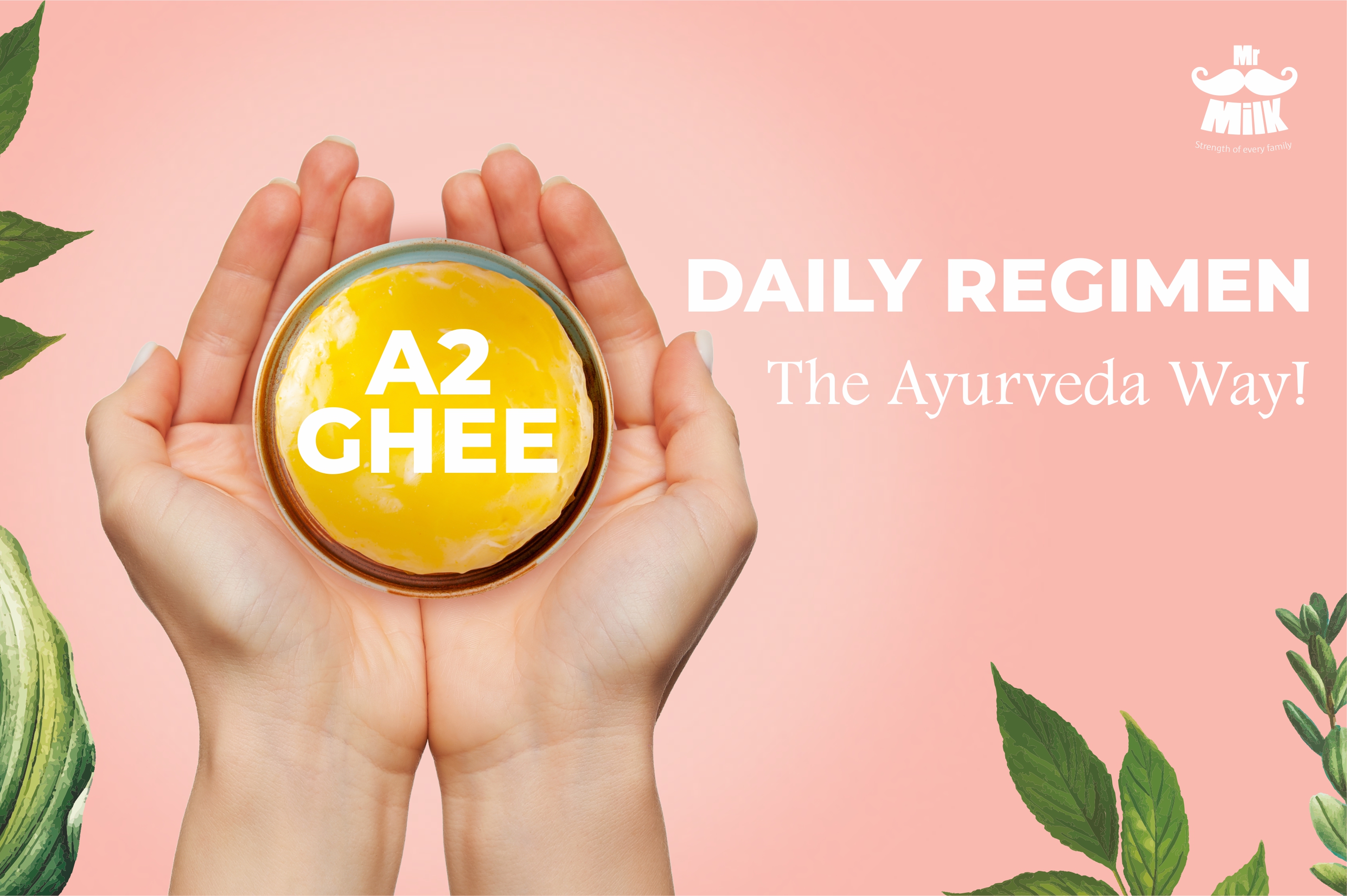 Daily Regimen – The Ayurveda Way!