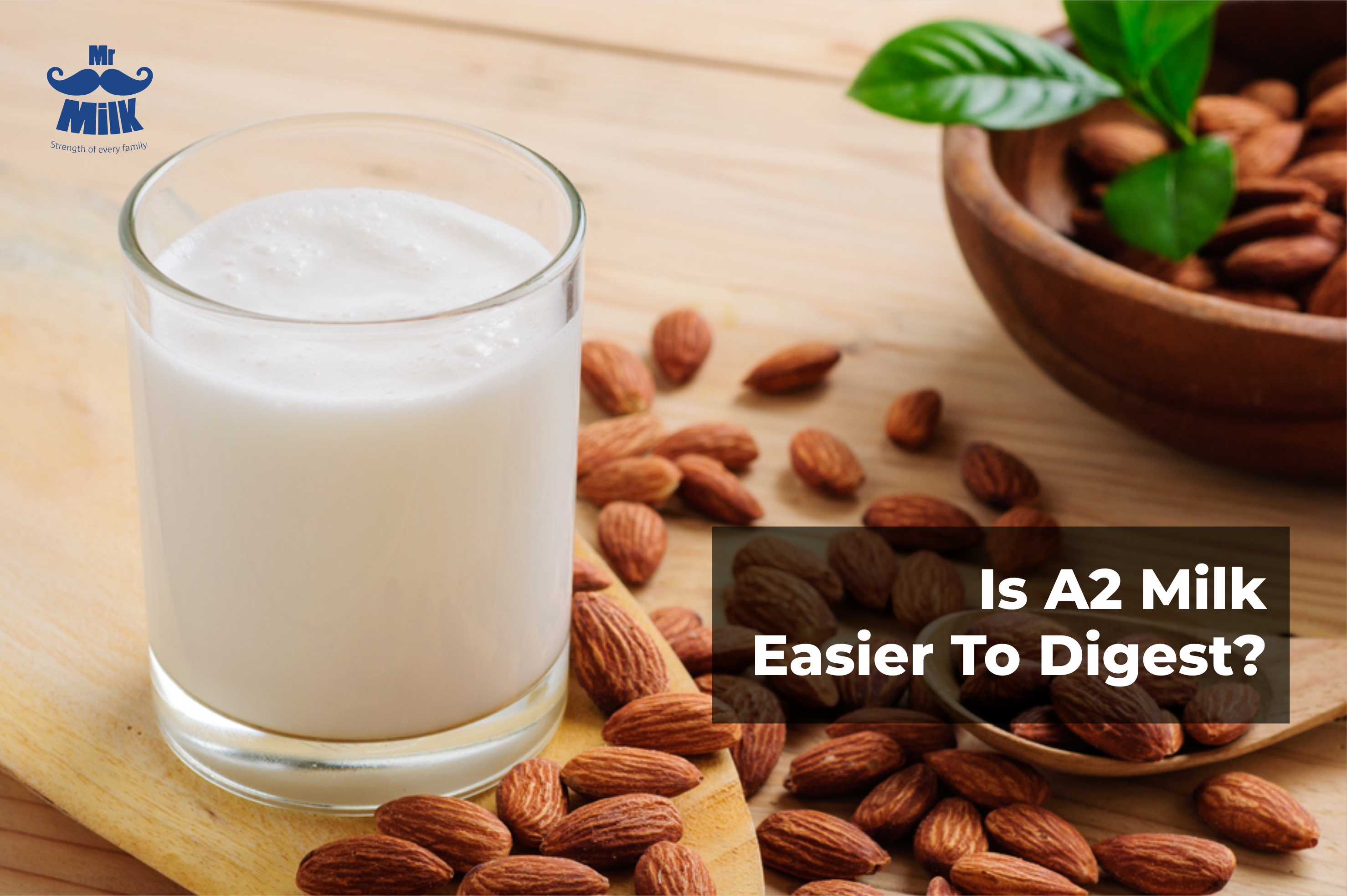 Is A2 Milk Easier To Digest?