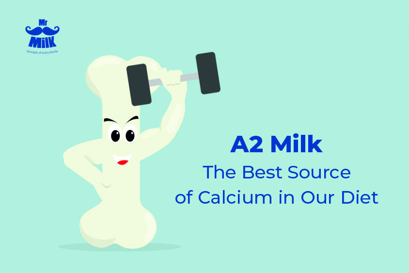 A2 Milk is The Best Source of Calcium in Our Diet