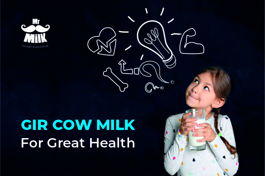 Gir Cow Milk For Great Health Mr. Milk A2 Desi Cow Milk