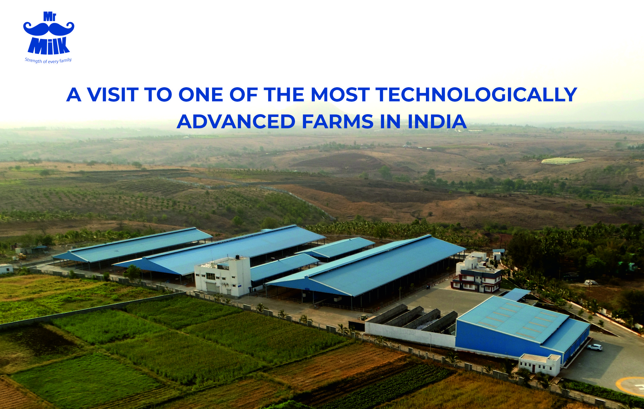 A Visit to One of the Most Technologically Advanced Diary Farms in Pune/ Mumbai