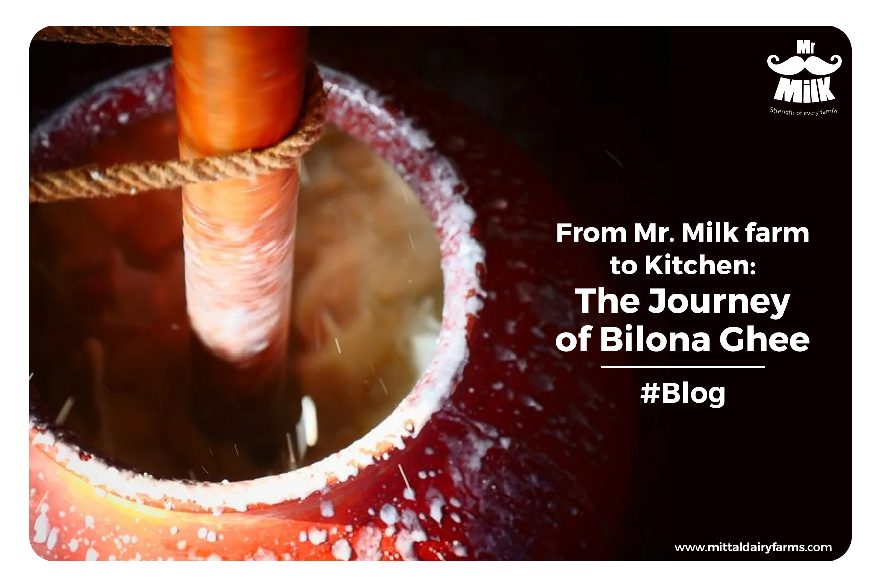 Mr. Milk provides you Purest Bilona Method A2 ghee in India. From Mr. Milk farm to Kitchen.