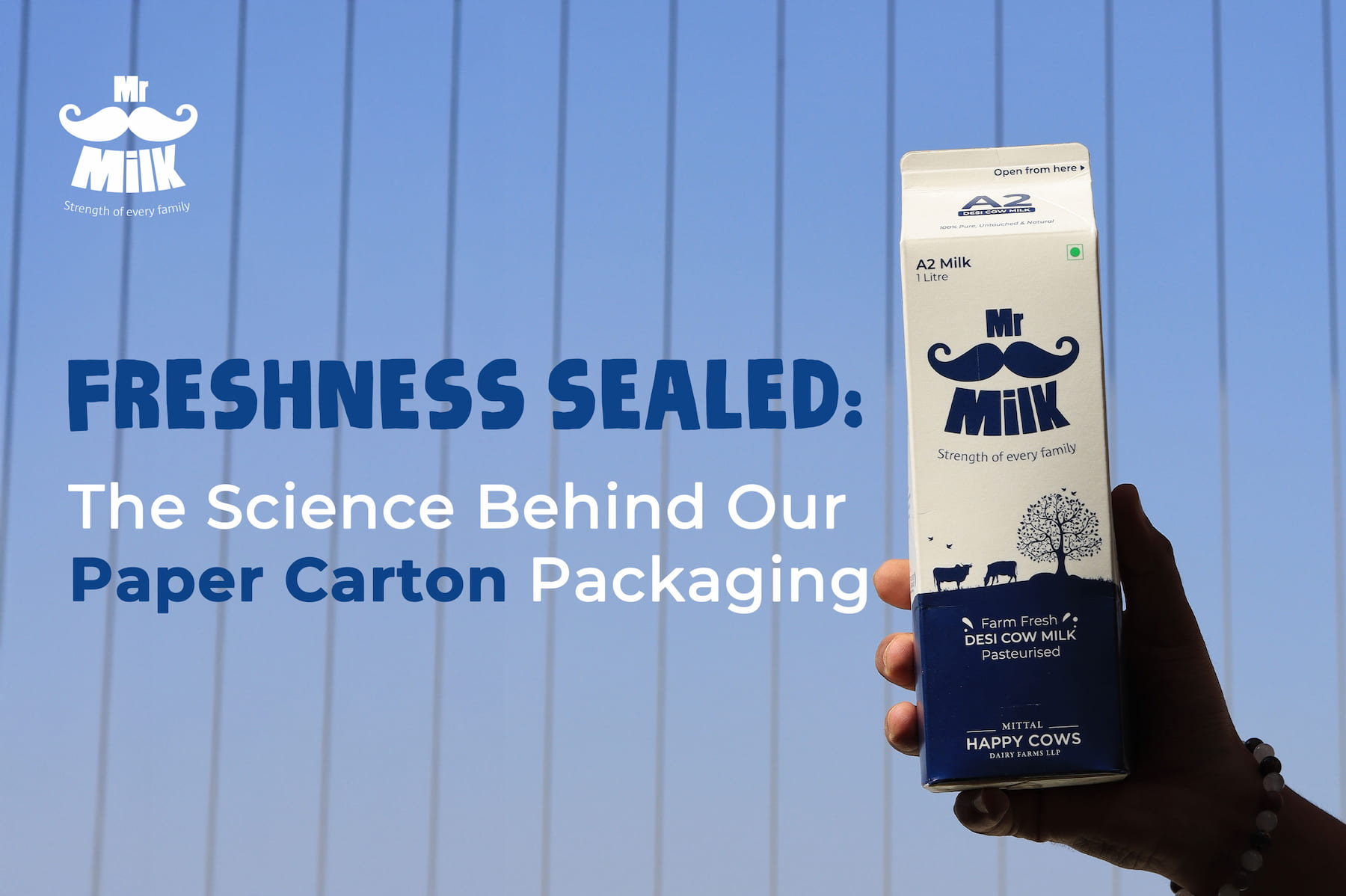 Freshness Sealed: The Science Behind Our Paper Carton Packaging
