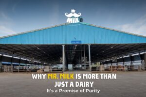 Why Mr. Milk is More Than Just a Dairy