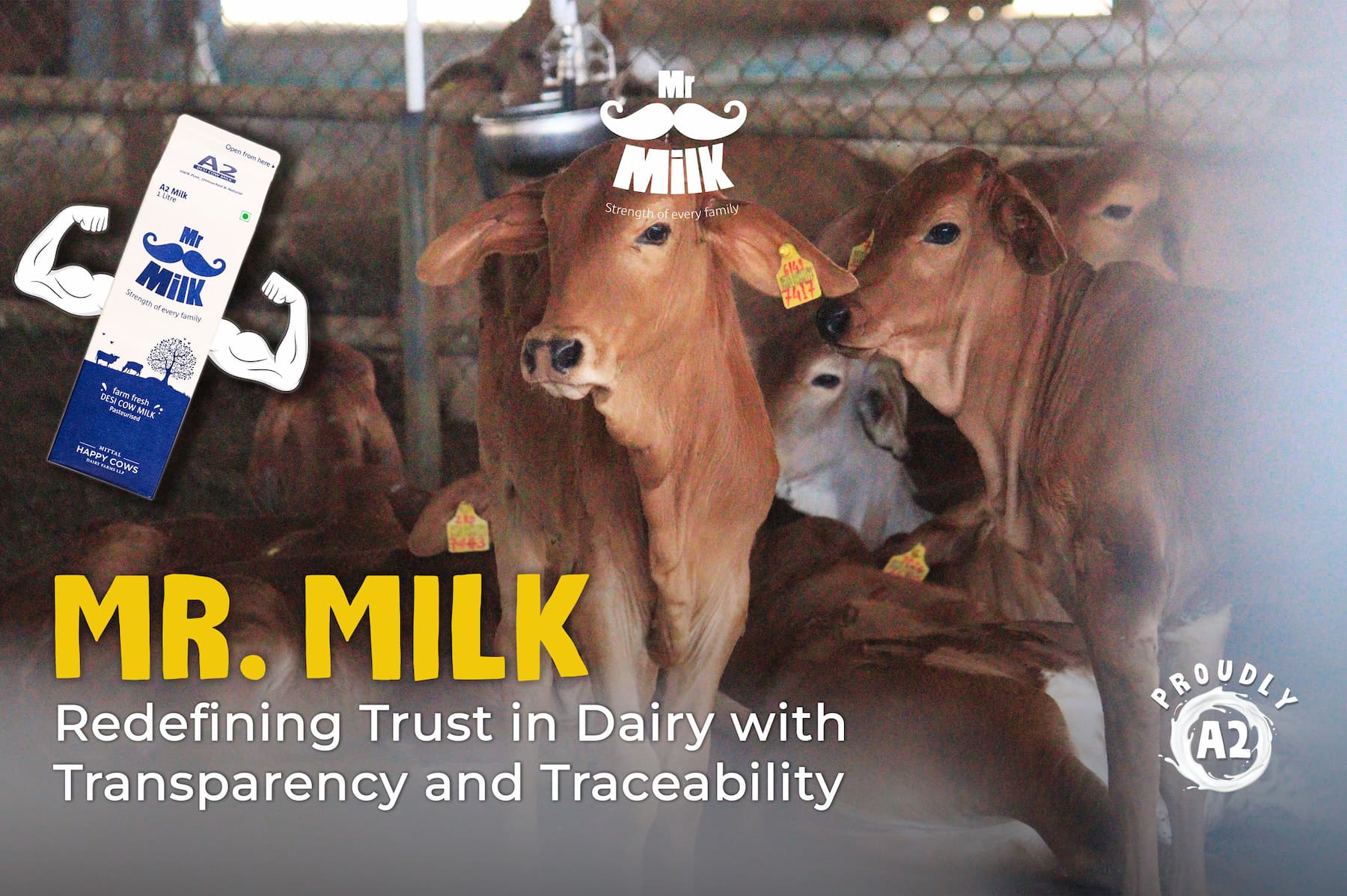 Mr. Milk: Redefining Trust in Dairy with Transparency and Traceability