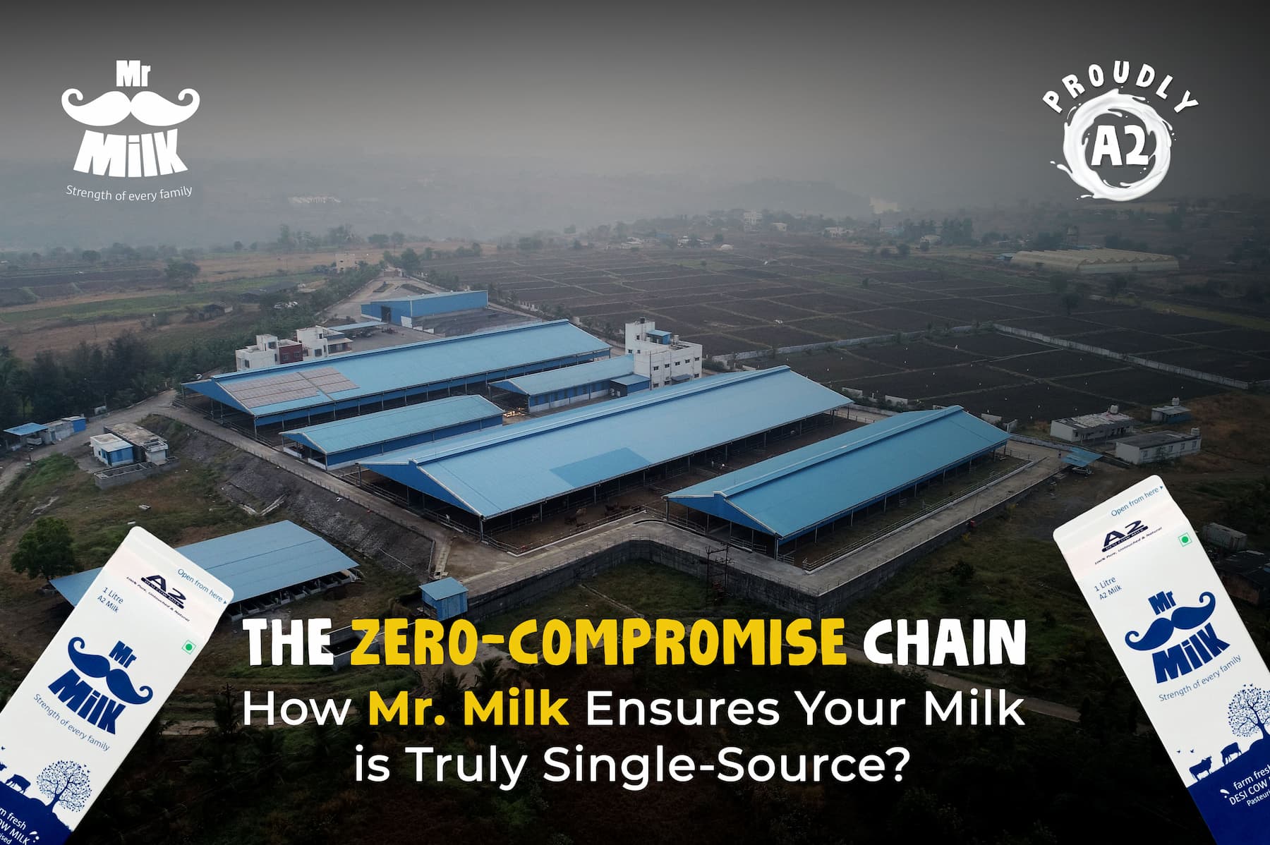 The Zero-Compromise Chain: How Mr. Milk Ensures Your Milk is Truly Single-Source?