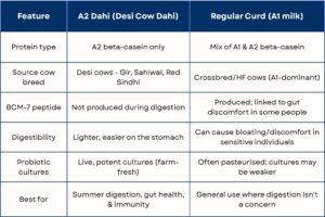 A2 Dahi Vs Regular Curd