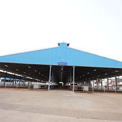 Mittal Dairy Farms