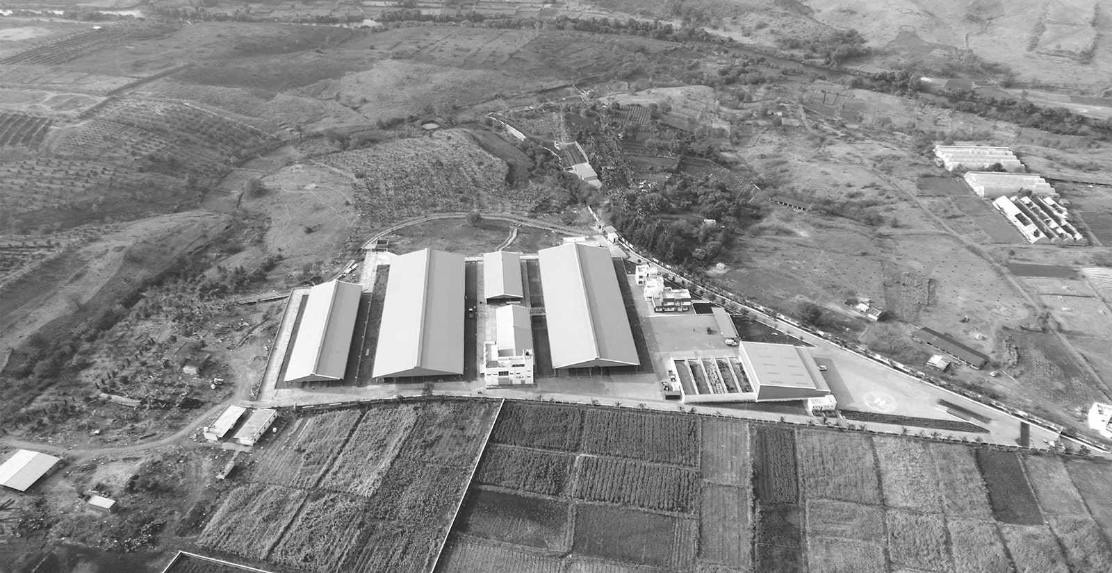 Best Cow Dairy Farm in Pune desi Cow dairy Farm Pune Mr.Milk