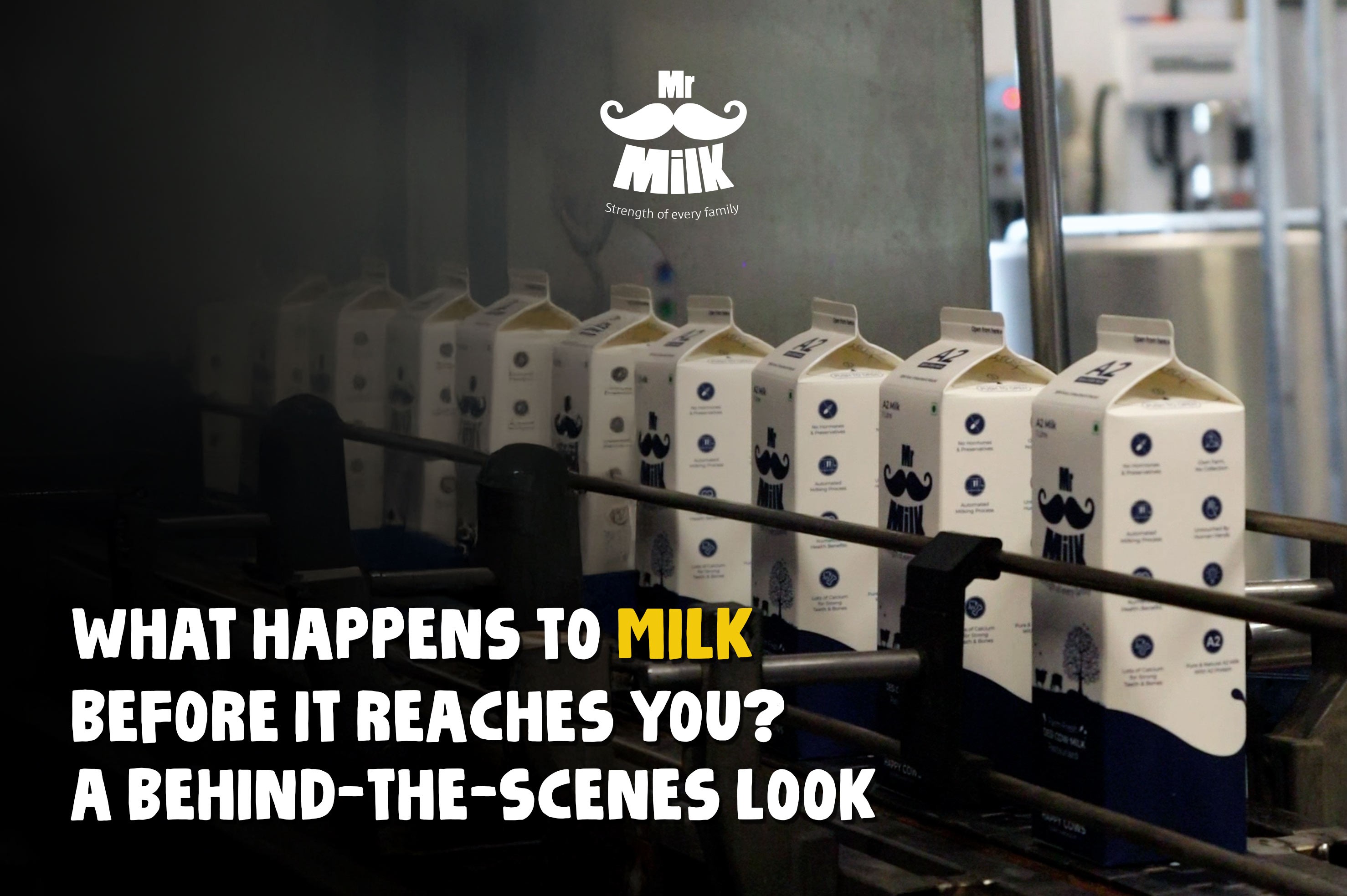 What Happens to Milk Before It Reaches You? A Behind-the-Scenes Look