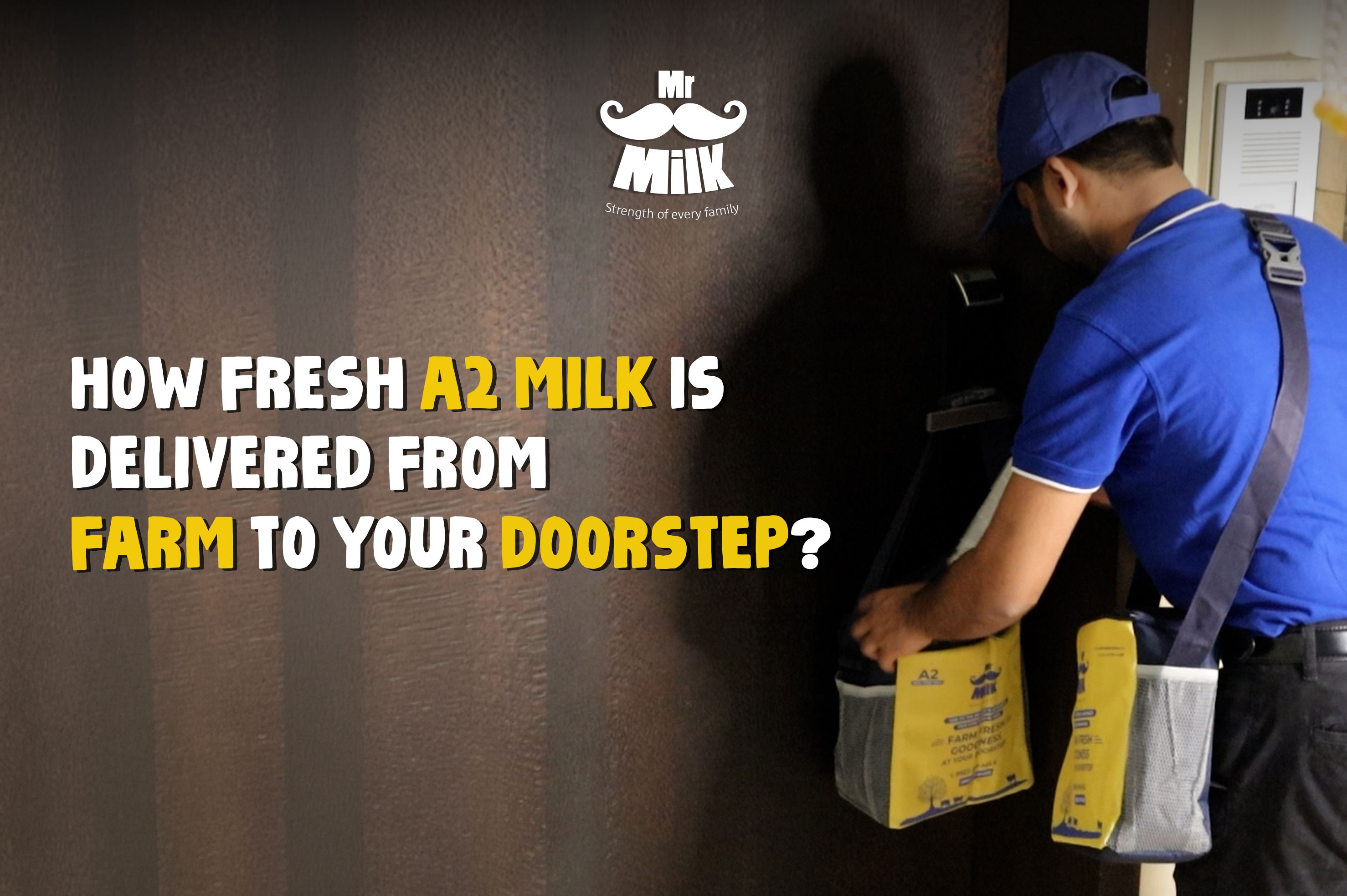 How Fresh A2 Milk is Delivered from Farm to Your Doorstep?
