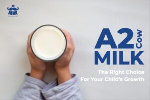 a2 cow milk for child growth,a2 milk immunity booster,a2 cow milk,why choose a2 milk