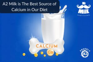 A2 Milk - Best Source of Calcium