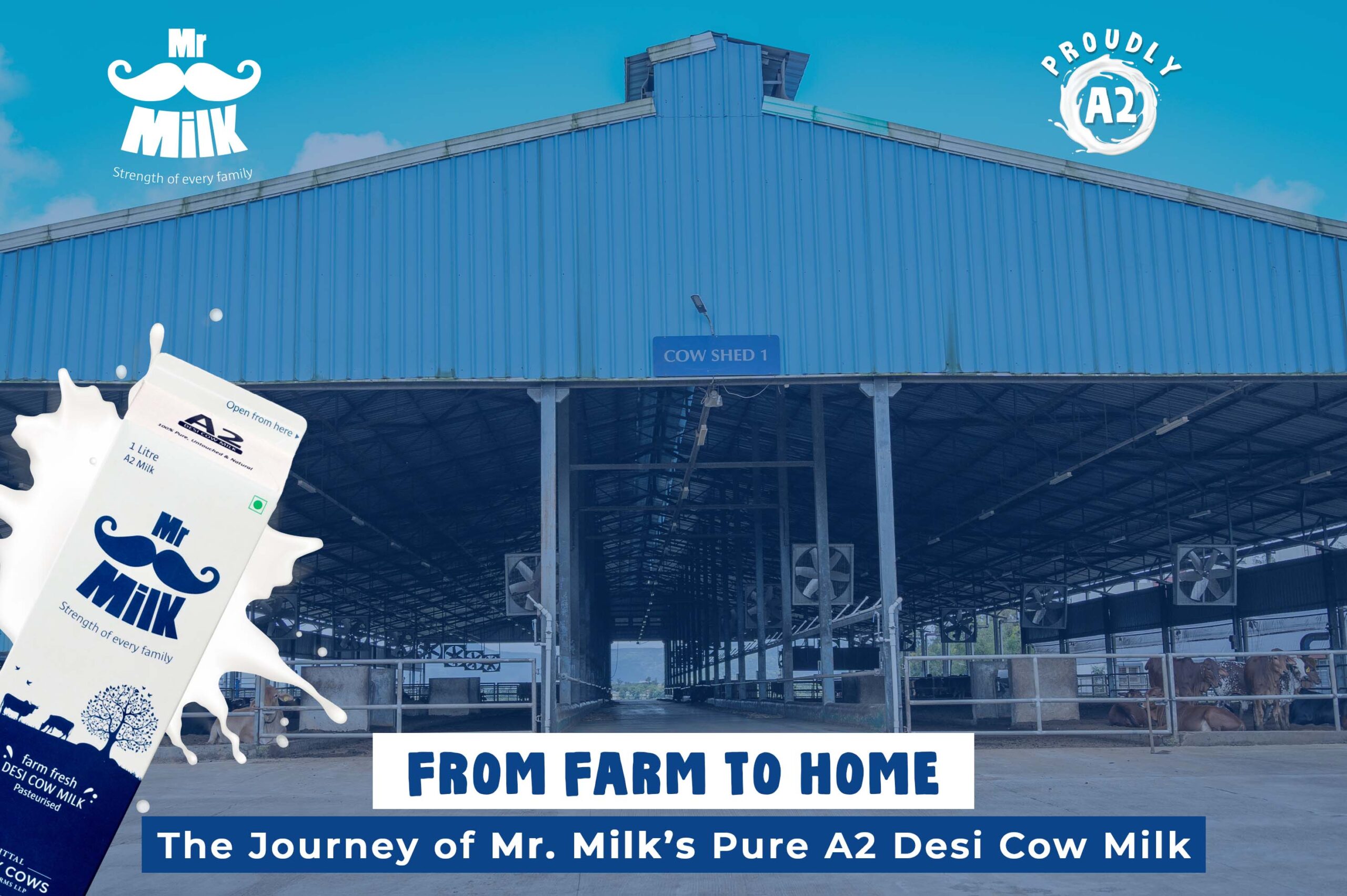 From Farm to Home: The Journey of Mr. Milk’s Pure A2 Desi Cow Milk