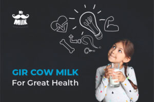 Gir Cow Milk – For Great Health