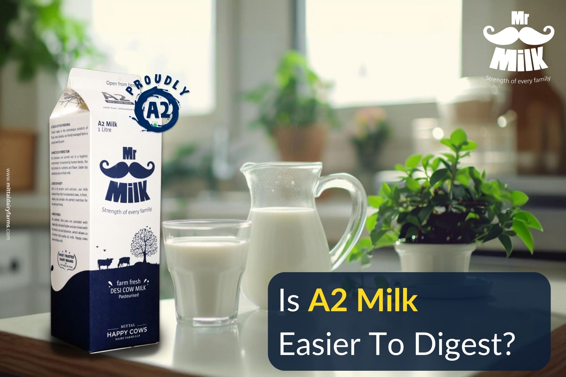 Is A2 Milk Easier To Digest?