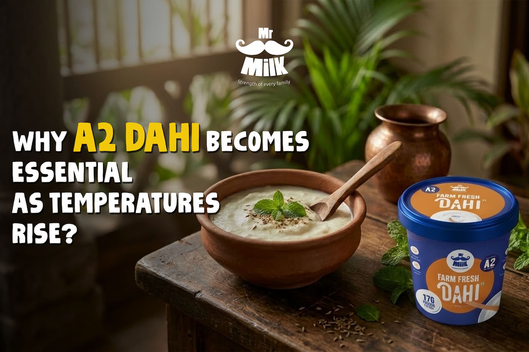 Why A2 Dahi Becomes Essential as Temperatures Rise?