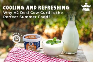 Why A2 Desi Cow Curd is the Perfect Summer Food